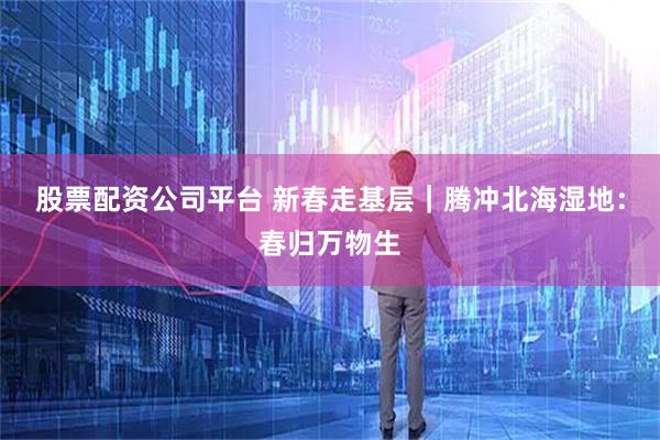 股票配资公司平台 新春走基层｜腾冲北海湿地：春归万物生