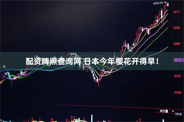 配资牌照查询网 日本今年樱花开得早！