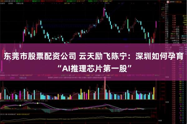 东莞市股票配资公司 云天励飞陈宁：深圳如何孕育“AI推理芯片第一股”